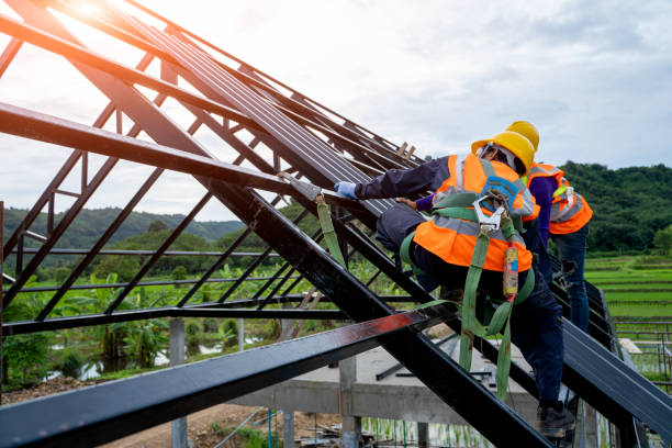 Best Roof Maintenance Services  in Stevensville, MI