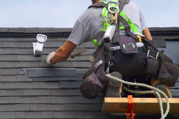 Best Emergency Roof Repair  in Stevensville, MI