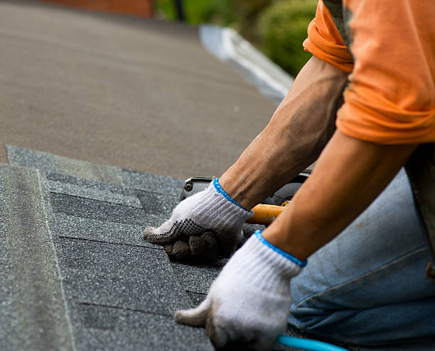 Quick and Trustworthy Emergency Roof Repair Services in Stevensville, MI