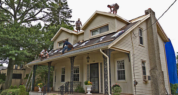 Best Roof Waterproofing Services  in Stevensville, MI
