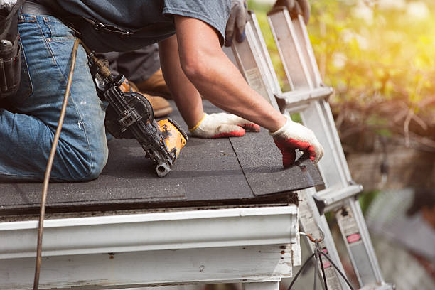 Best Roof Repair Services  in Stevensville, MI