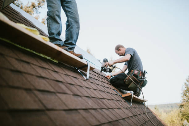 Best Slate Roofing Contractor  in Stevensville, MI