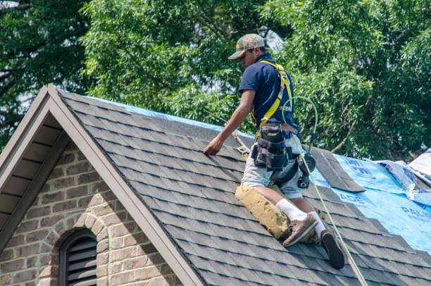 Best Roof Restoration Services  in Stevensville, MI